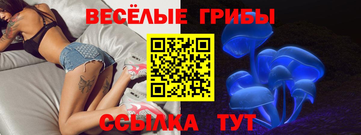 Псилоцибиновые грибы мицелий Полевской